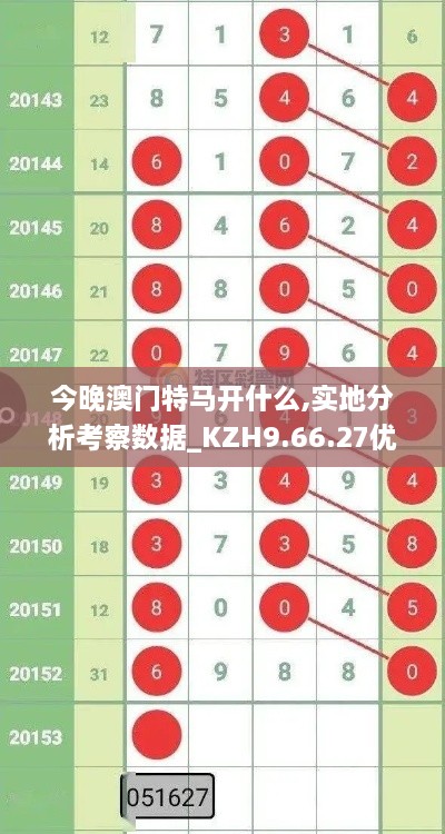 今晚澳门特马开什么,实地分析考察数据_KZH9.66.27优雅版