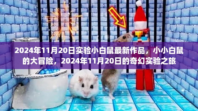 小小白鼠大冒险，奇幻实验之旅发布于2024年11月20日的新作品揭秘