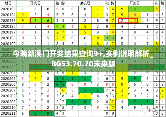 今晚新澳门开奖结果查询9+,实例说明解析_BGS3.70.70未来版