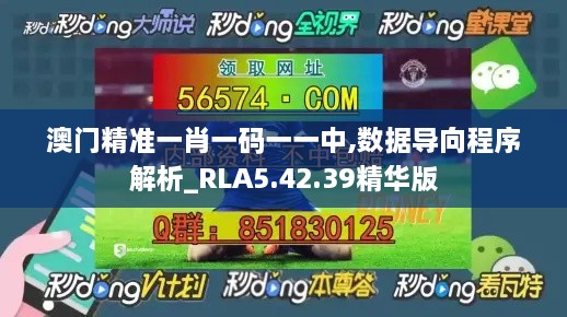 澳门精准一肖一码一一中,数据导向程序解析_RLA5.42.39精华版