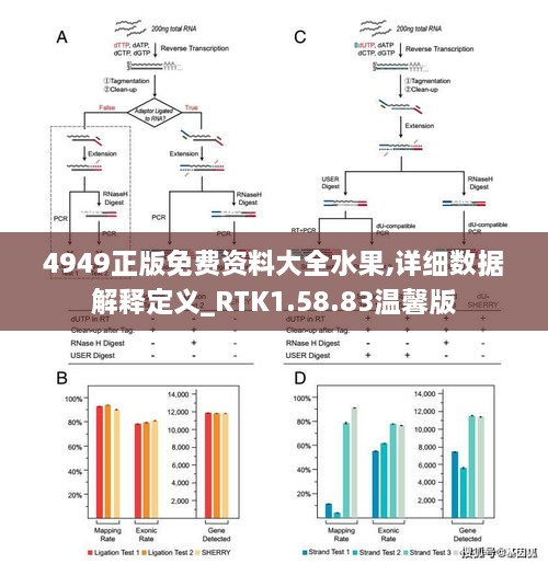 4949正版免费资料大全水果,详细数据解释定义_RTK1.58.83温馨版