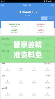 管家婆精准资料免费大全香港,实地验证策略具体_FXV9.47.43优选版