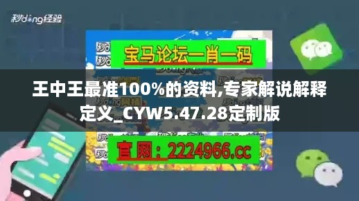 王中王最准100%的资料,专家解说解释定义_CYW5.47.28定制版