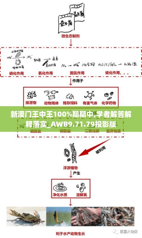 新澳门王中王100%期期中,学者解答解释落实_AWB9.71.79投影版