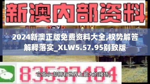 2024新澳正版免费资料大全,权势解答解释落实_XLW5.57.95别致版