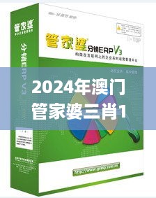 2024年澳门管家婆三肖100%,高效计划实施解析_OHK2.53.38沉浸版