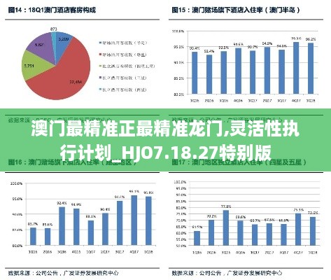 澳门最精准正最精准龙门,灵活性执行计划_HJO7.18.27特别版