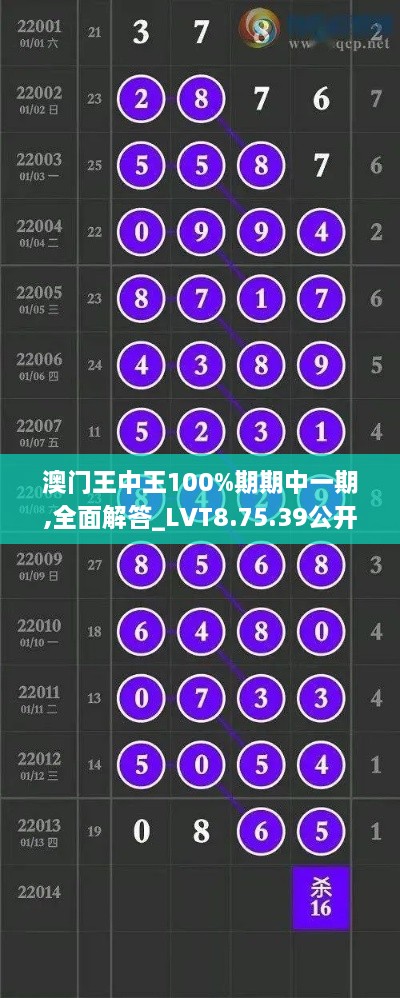 澳门王中王100%期期中一期,全面解答_LVT8.75.39公开版