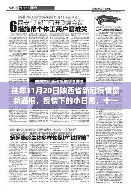 陕西新冠疫情通报下的温情日常——十一月二十日的陕西抗疫纪实