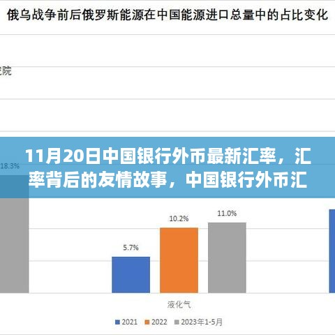 中国银行外币汇率揭秘之旅，汇率背后的友情故事及最新汇率更新（11月20日）