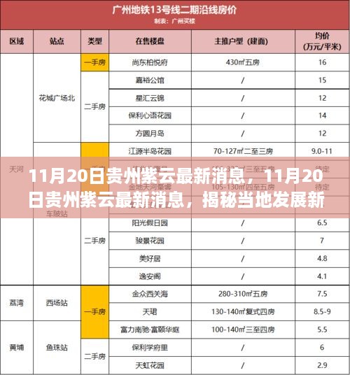 揭秘贵州紫云发展新动向，最新消息一览（11月20日）