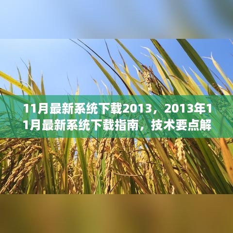 最新系统下载指南，解析技术要点，掌握2013年11月最新系统下载