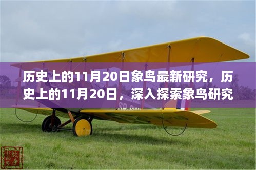 历史上的11月20日，象鸟研究的深度探索与新进展