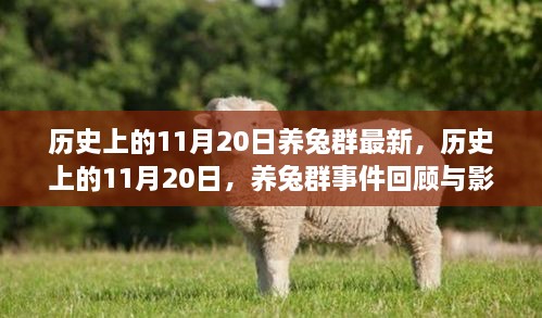 历史上的11月20日养兔群事件回顾，最新动态与深远影响