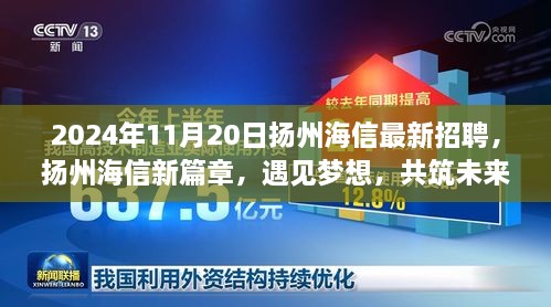 扬州海信2024年最新招聘启事，共筑未来，梦想相遇的奇遇记