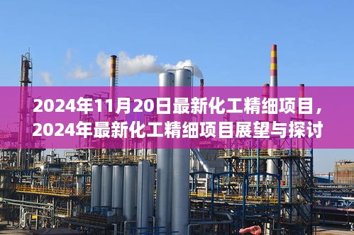 2024年最新化工精细项目展望与深度探讨，某某观点分析