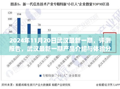 2024年11月武汉最新一期产品评测报告，深度介绍与体验分析