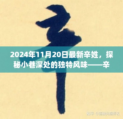 辛氏秘香小铺，小巷深处的独特风味独家探寻记（2024年11月20日最新发现）