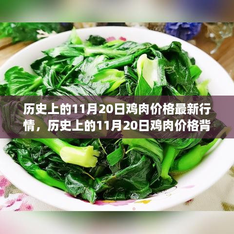 心灵启示与呼唤，历史上的鸡肉价格背后的故事与最新行情