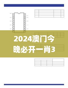 2024澳门今晚必开一肖335期,多维路径研究解答解释_IDT7.41