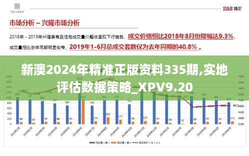 新澳2024年精准正版资料335期,实地评估数据策略_XPV9.20