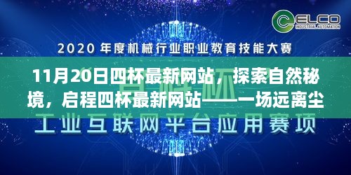 探索自然秘境，启程四杯最新网站的心灵之旅