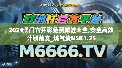 2024澳门六开彩免费精准大全,安全高效计划落实_炼气境NSK1.25