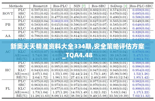 新奥天天精准资料大全334期,安全策略评估方案_TQA4.48