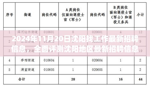 沈阳最新招聘信息全面解析，求职者理想选择（2024年11月版）