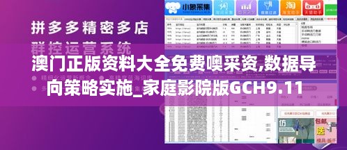 澳门正版资料大全免费噢采资,数据导向策略实施_家庭影院版GCH9.11