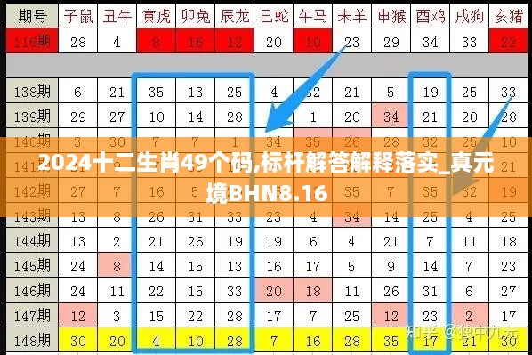 2024十二生肖49个码,标杆解答解释落实_真元境BHN8.16