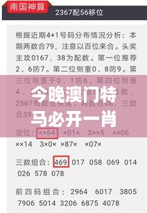 今晚澳门特马必开一肖331期,精细化方案决策_QDQ8.39