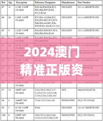 2024澳门精准正版资料大全,系统化措施落实评估_时刻版KWE7.18