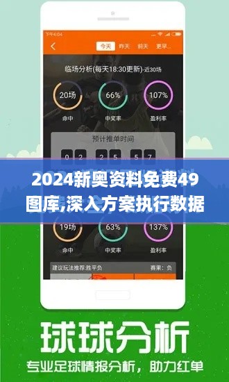 2024新奥资料免费49图库,深入方案执行数据_强劲版JBM6.33