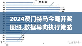 2024澳门特马今晚开奖图纸,数据导向执行策略_核心版UYR4.41