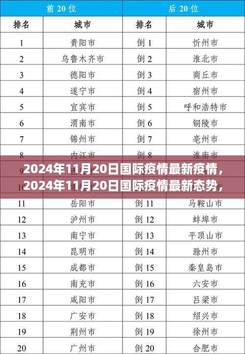 多维度视角下的观点碰撞，2024年11月20日国际疫情最新态势与个人立场