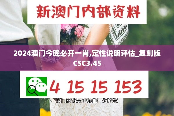 2024澳门今晚必开一肖,定性说明评估_复刻版CSC3.45