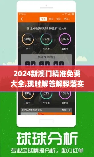 2024新澳门精准免费大全,现时解答解释落实_铂金版UWF2.34