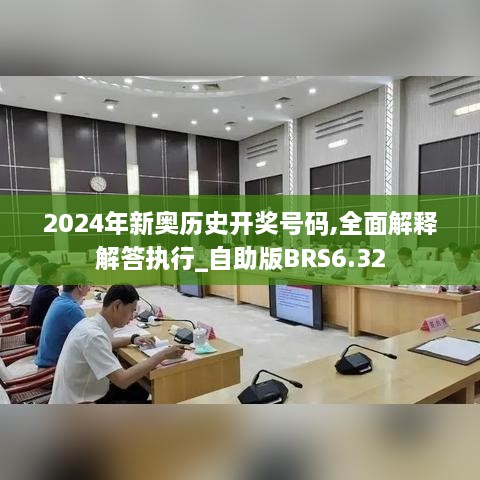 2024年新奥历史开奖号码,全面解释解答执行_自助版BRS6.32