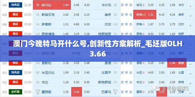 澳门今晚特马开什么号,创新性方案解析_毛坯版OLH3.66