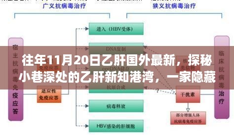 探秘特色小店，时光中的乙肝新知港湾，国外最新乙肝资讯揭秘