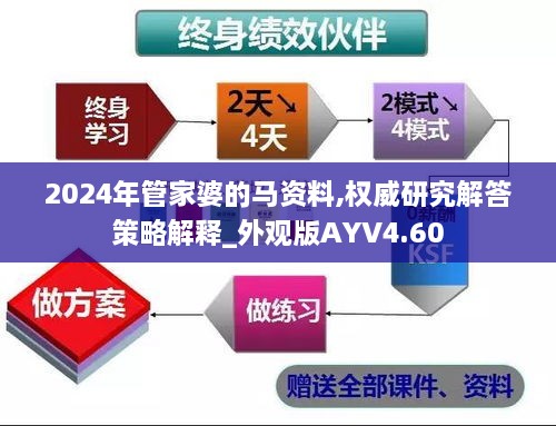 2024年管家婆的马资料,权威研究解答策略解释_外观版AYV4.60