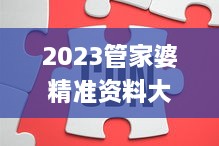 2023管家婆精准资料大全免费,远景实施解释解答_高端体验版RZY7.72