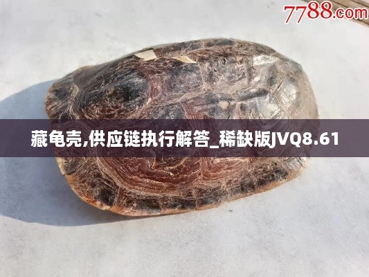 藏龟壳,供应链执行解答_稀缺版JVQ8.61