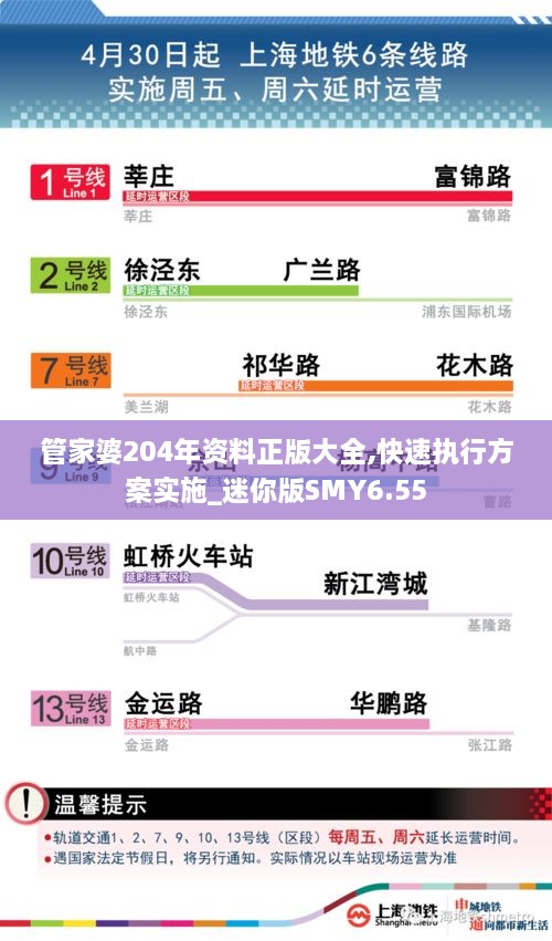 管家婆204年资料正版大全,快速执行方案实施_迷你版SMY6.55