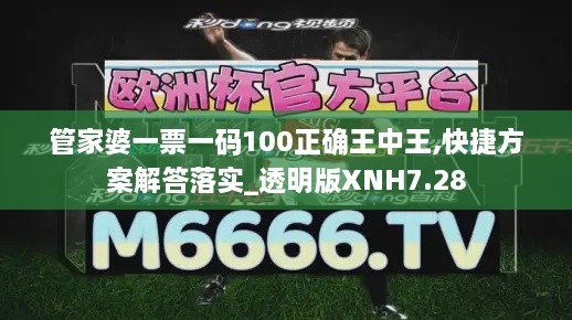 管家婆一票一码100正确王中王,快捷方案解答落实_透明版XNH7.28