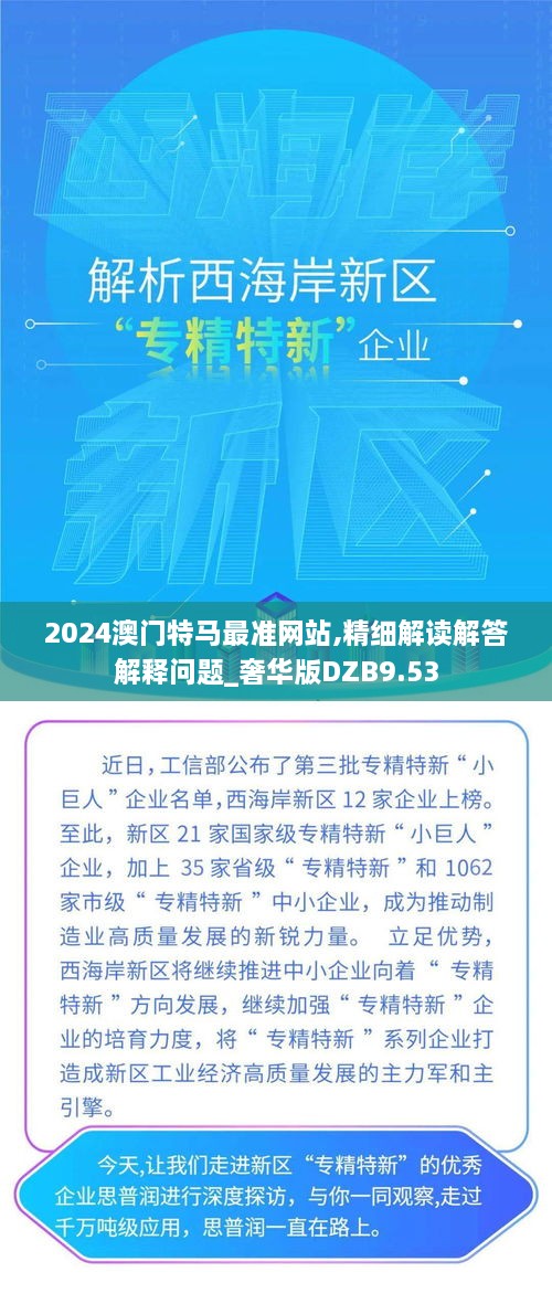 2024澳门特马最准网站,精细解读解答解释问题_奢华版DZB9.53