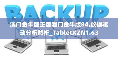 澳门金牛版正版澳门金牛版84,数据驱动分析解析_TabletXZN1.63