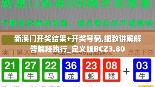 新澳门开奖结果+开奖号码,细致讲解解答解释执行_定义版BCZ3.80