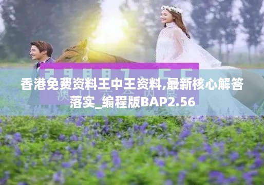 香港免费资料王中王资料,最新核心解答落实_编程版BAP2.56